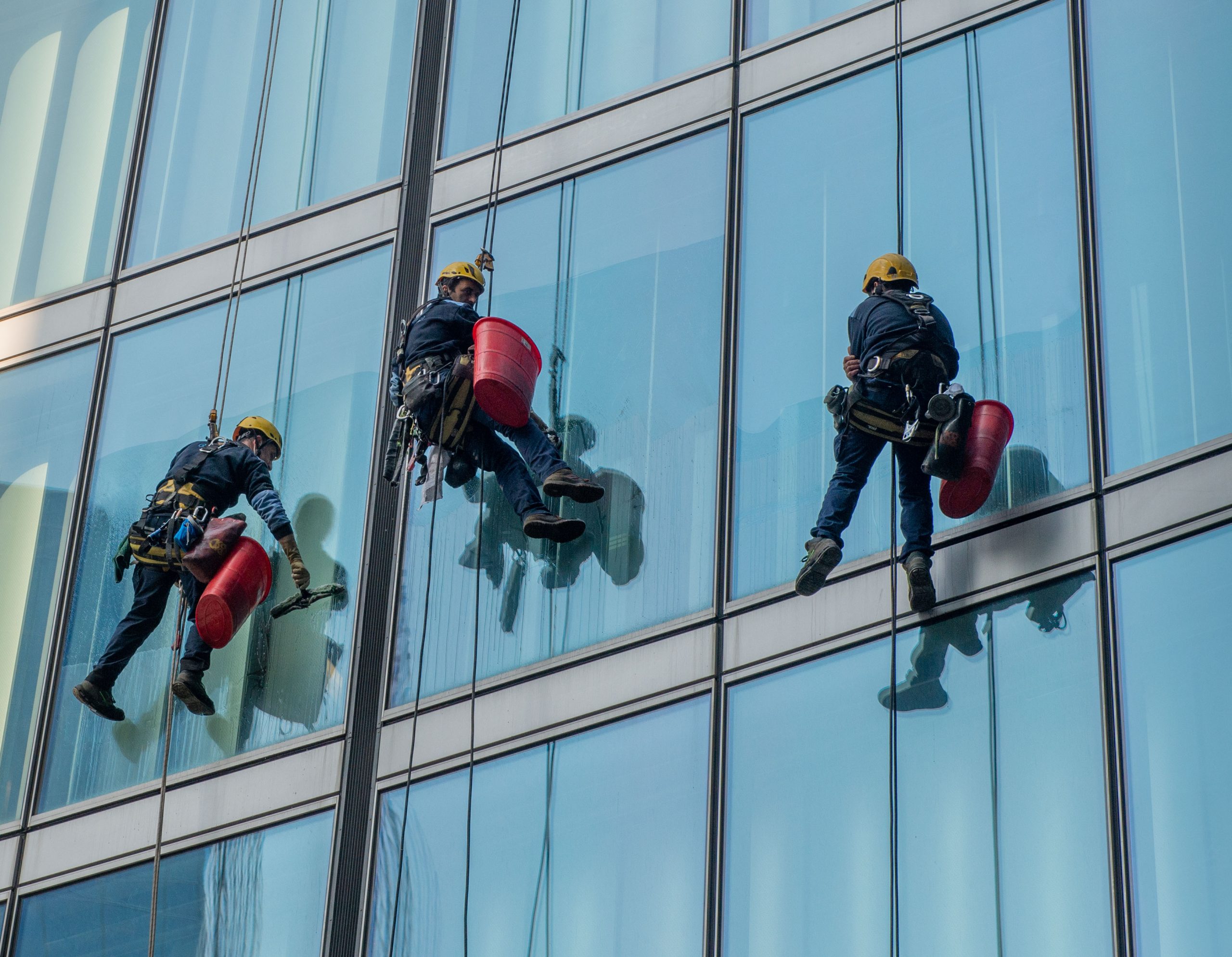 skilled glass cleaners who lower themselves with slings from abo